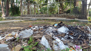 20150725_151905 ed 01