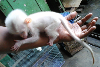 ED20151101_151727 copy