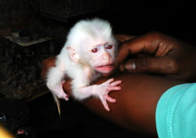 ED20151101_151814 copy