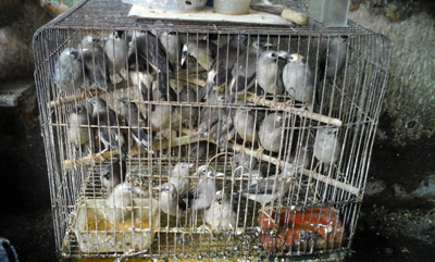 ED20151101_151904 copy