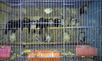 ED20151101_151945 copy