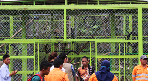 Inauguration of A Newly Established Macaque Rescue Center in Sumatra (September 22, 2022)